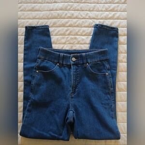 Universal Standard Blue Stretch SLIMMING Skinny Jeans--6